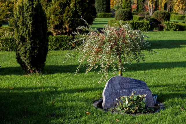 Urnegravsted kombineret anlæg m. bed i græs