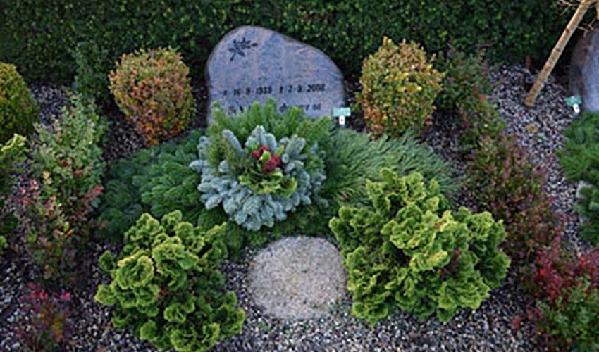 Urnegravsted m. hæk og individuelt anlæg