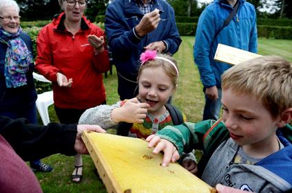 Bierne på Kirkegården